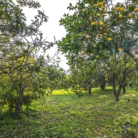 Il Borghetto & 4* Procida