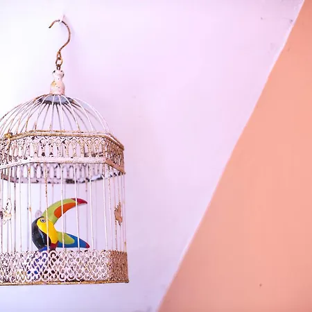 Il Borghetto & Procida