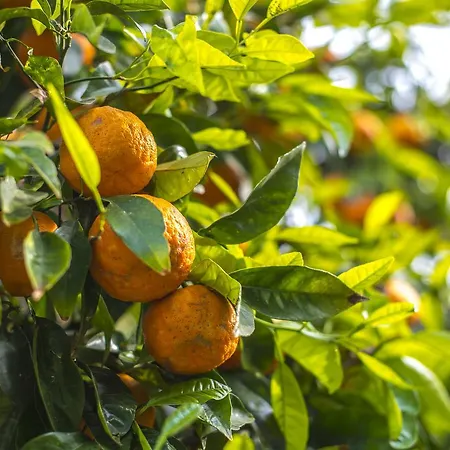 Casa de hóspedes Il Borghetto &