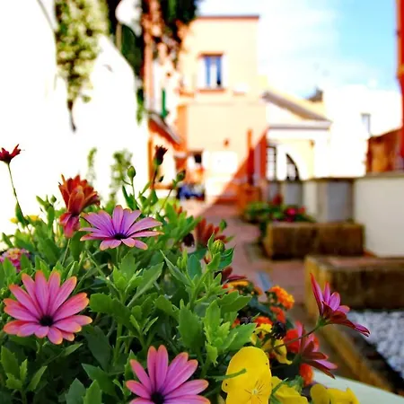 Il Borghetto Apartments&rooms Affittacamere